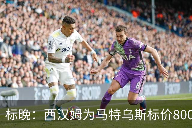 标晚：西汉姆为马特乌斯标价8000万镑，曼联表现出实质性兴趣